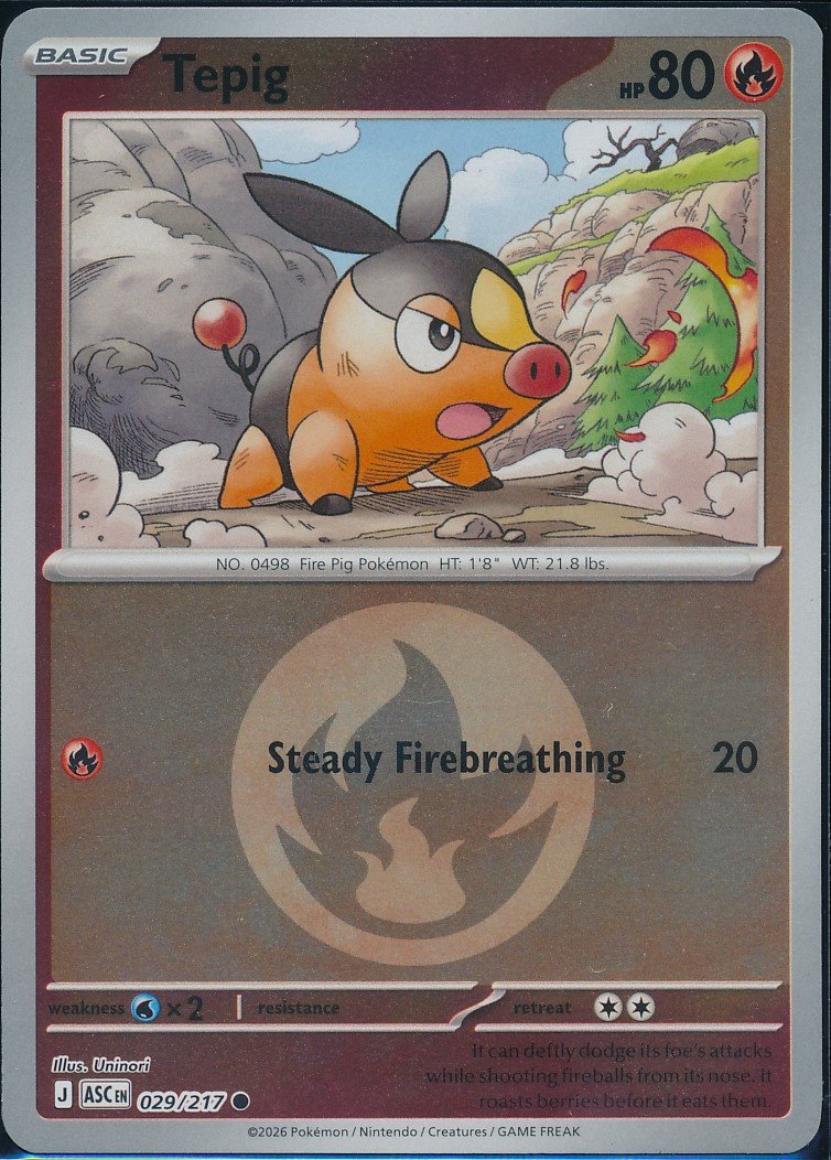 Tepig (MAG MAG-00010531) — front