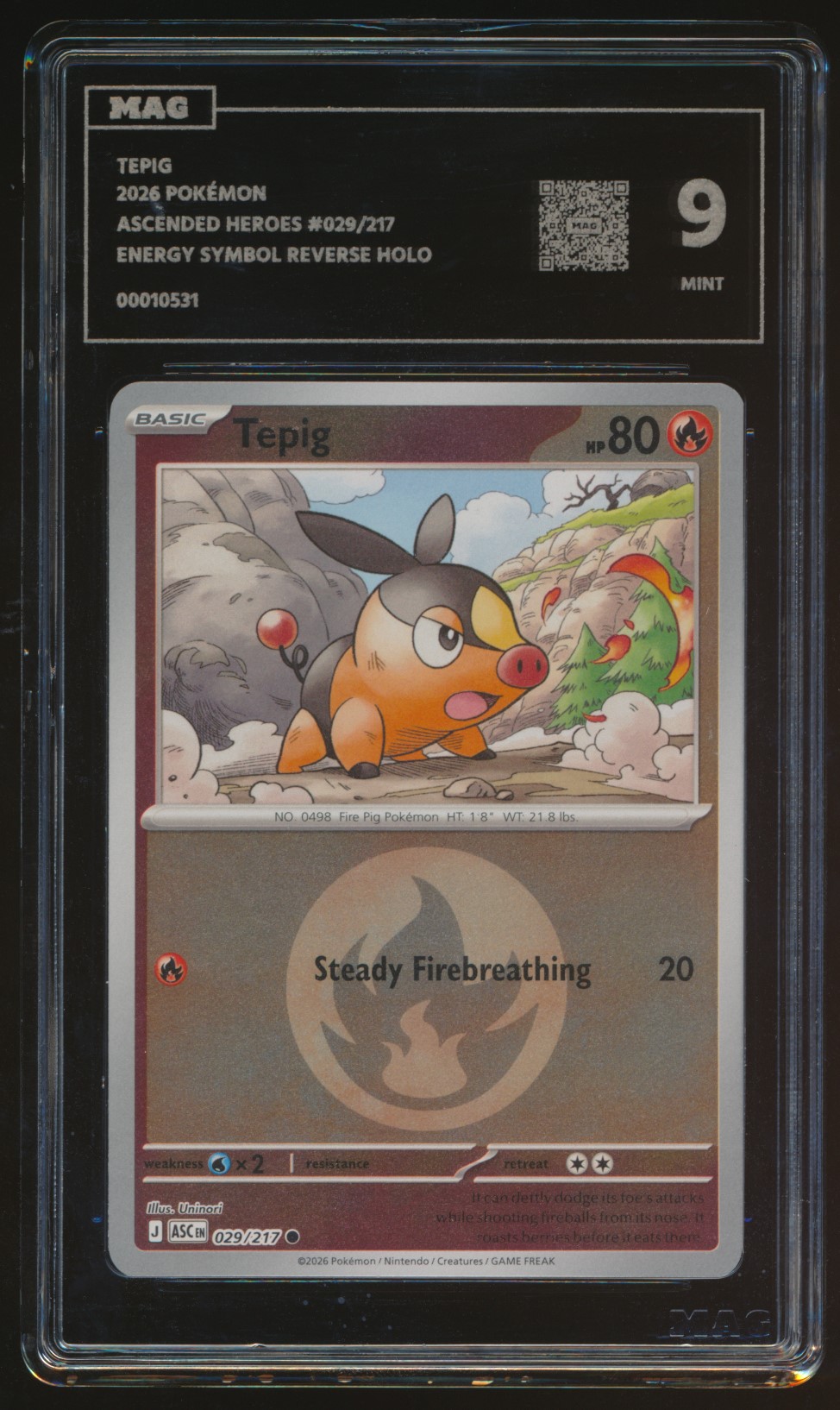 Tepig (MAG MAG-00010531) — front