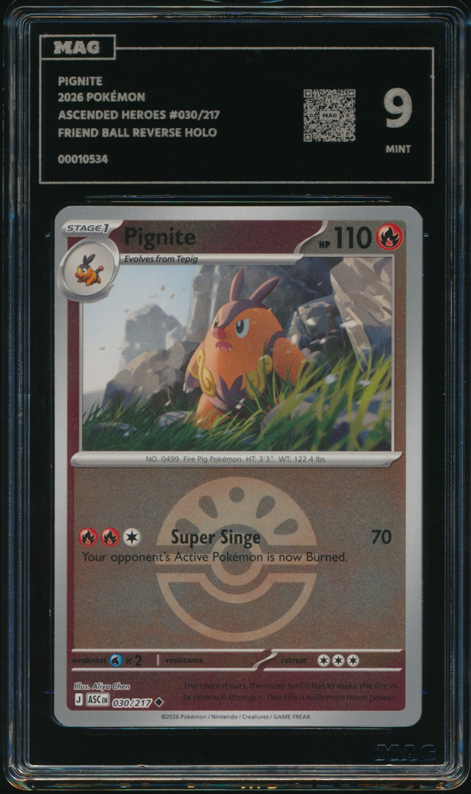 Pignite (MAG MAG-00010534) — front