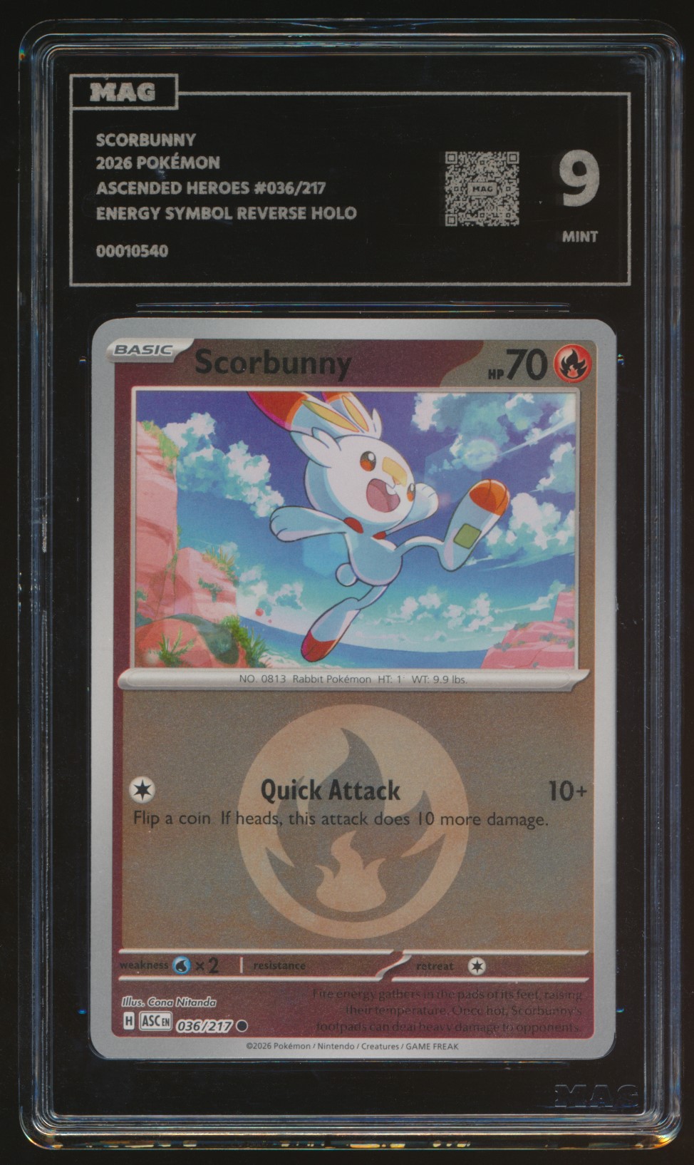 Scorbunny (MAG MAG-00010540) — front