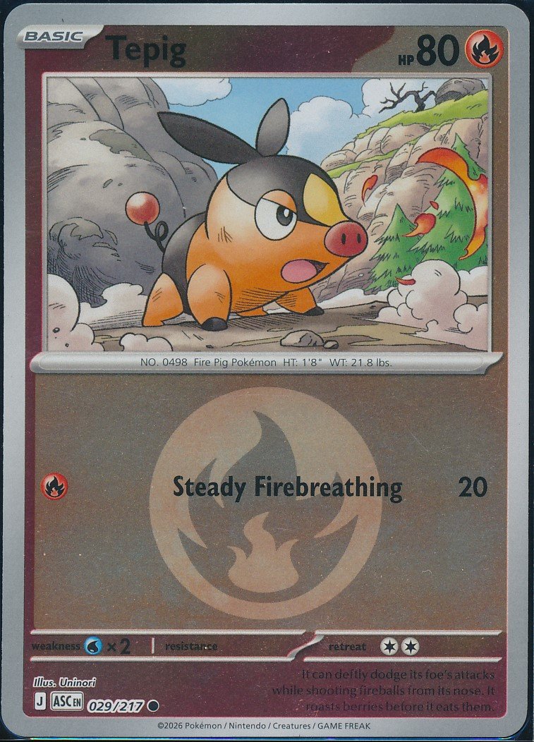 Tepig (MAG MAG-00010532) — front