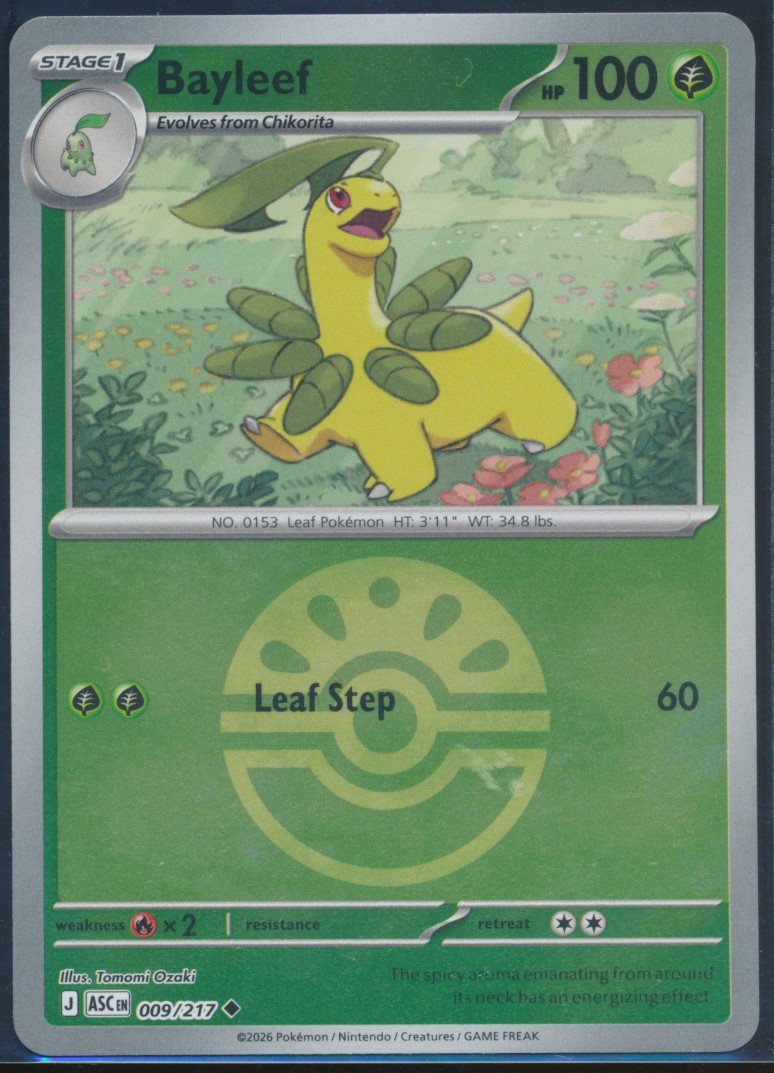 Bayleef (MAG MAG-00010594) — front