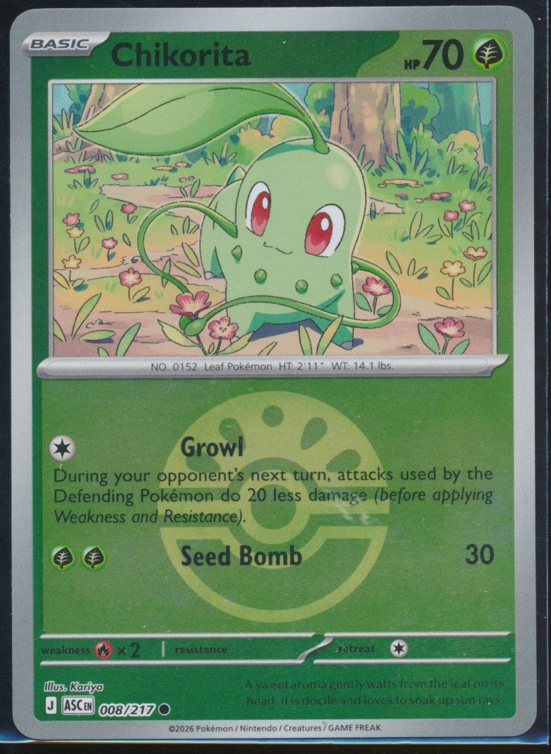 Chikorita (MAG MAG-00010600) — front