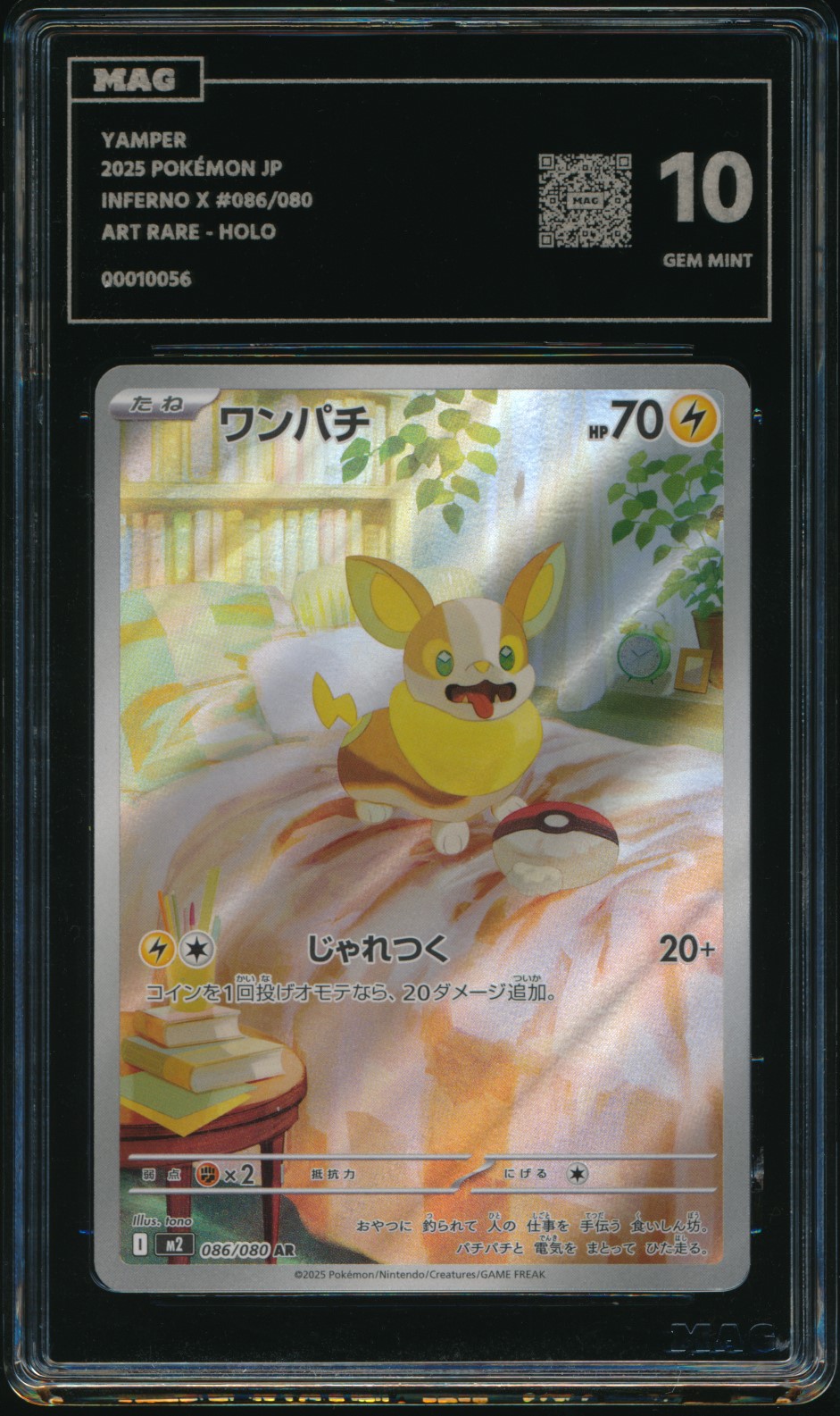Yamper (MAG MAG-00010056) — front