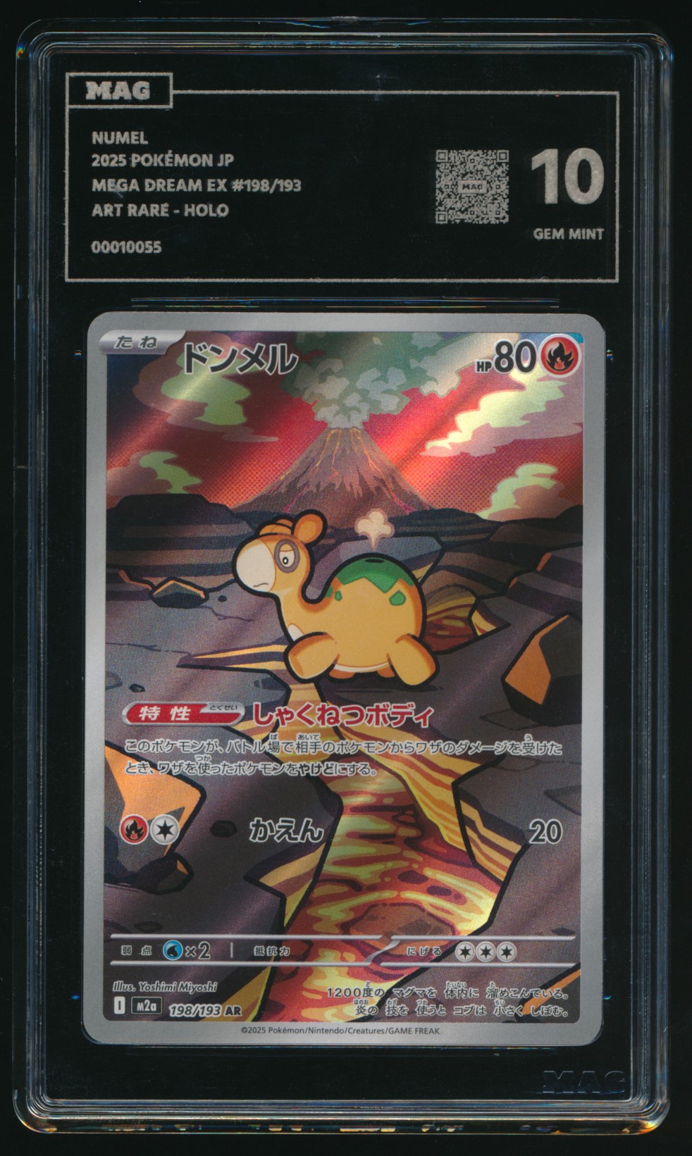 Numel (MAG MAG-00010055) — front