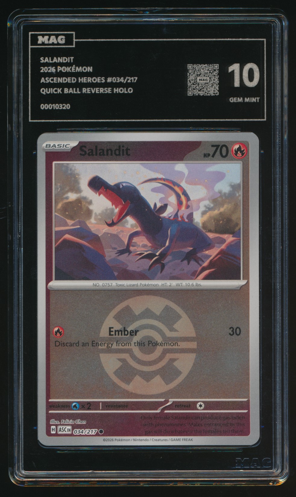 Salandit (MAG MAG-00010320) — front