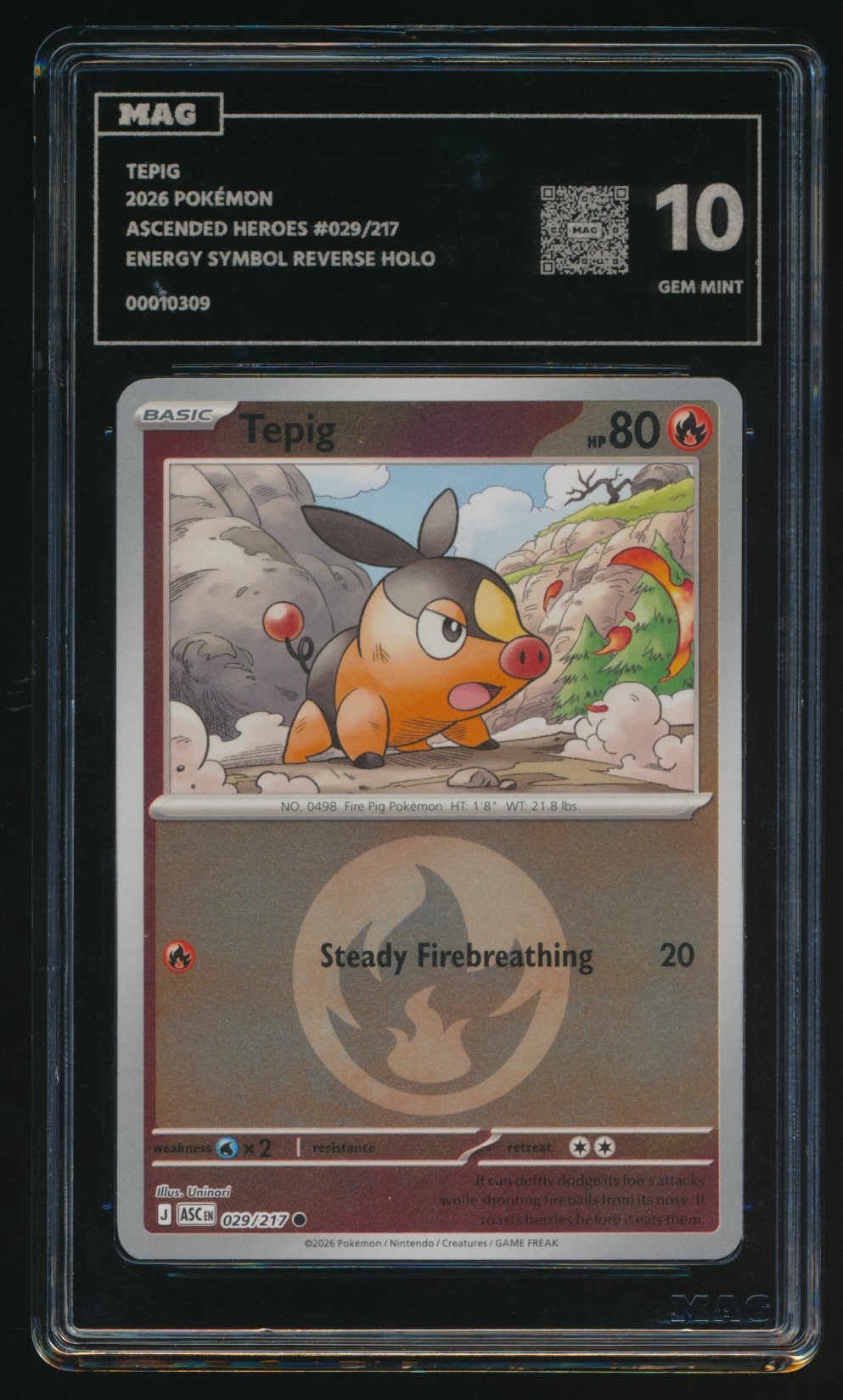 Tepig (MAG MAG-00010309) — front