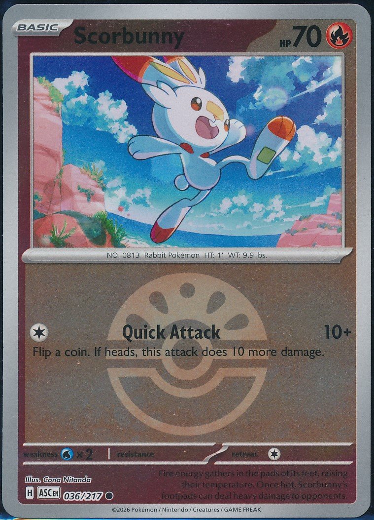 Scorbunny (MAG MAG-00010327) — front