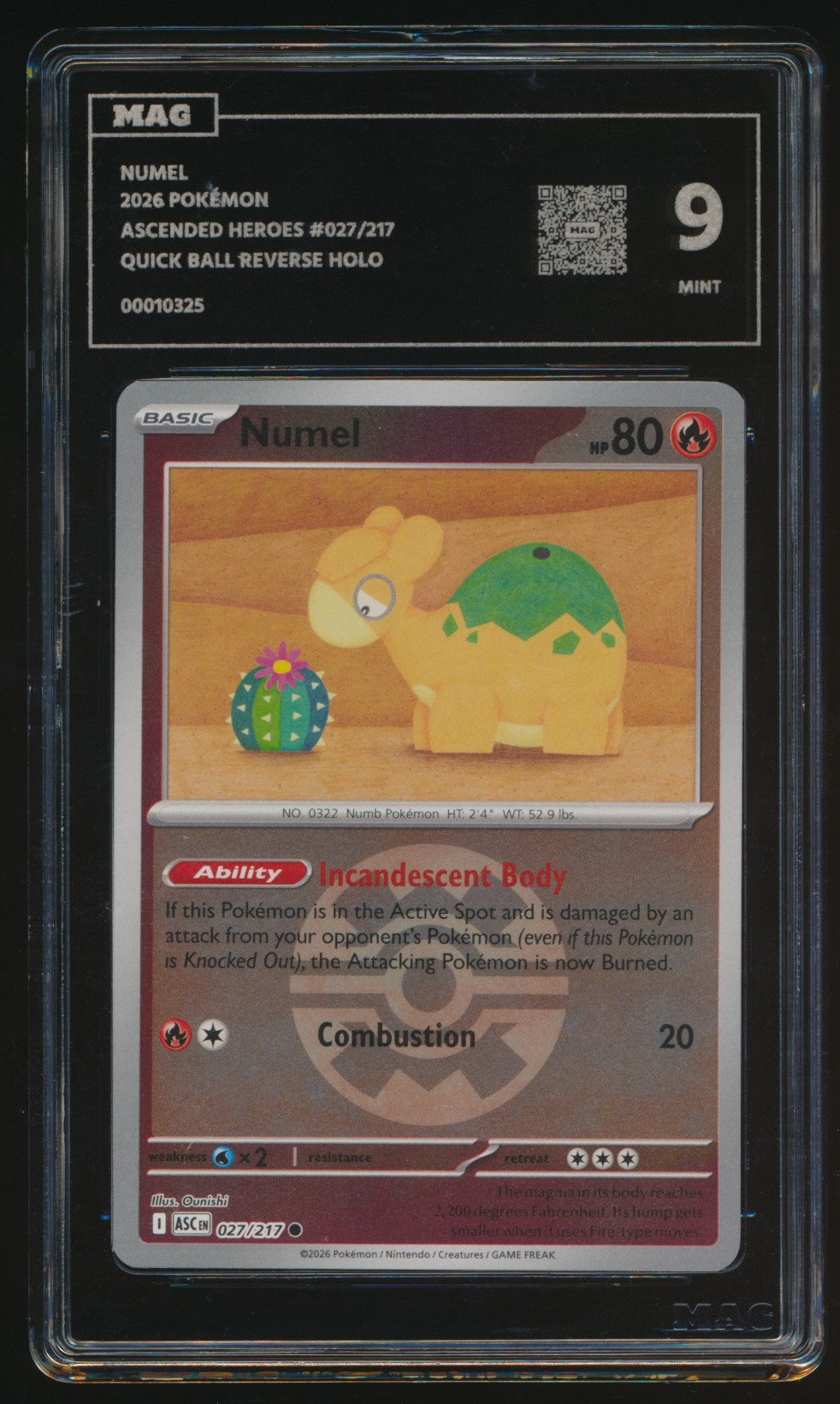 Numel (MAG MAG-00010325) — front