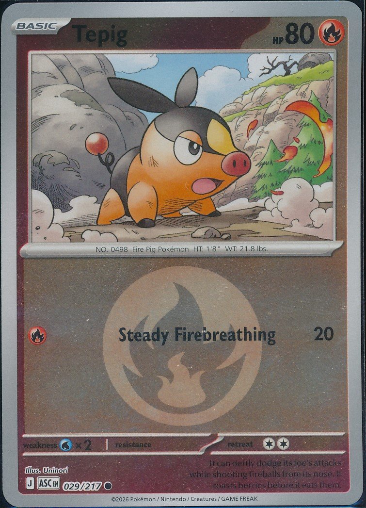 Tepig (MAG MAG-00010308) — front