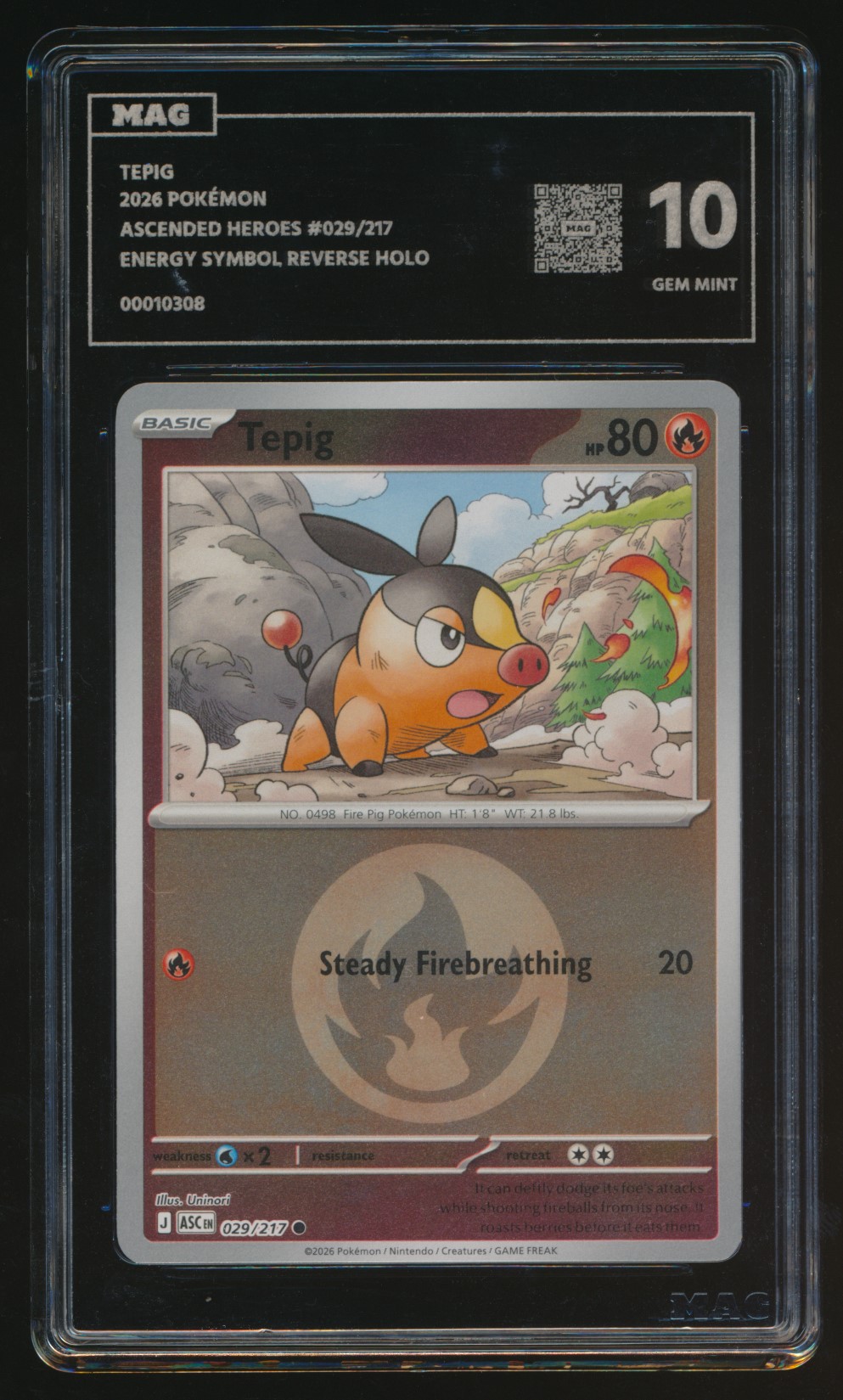Tepig (MAG MAG-00010308) — front