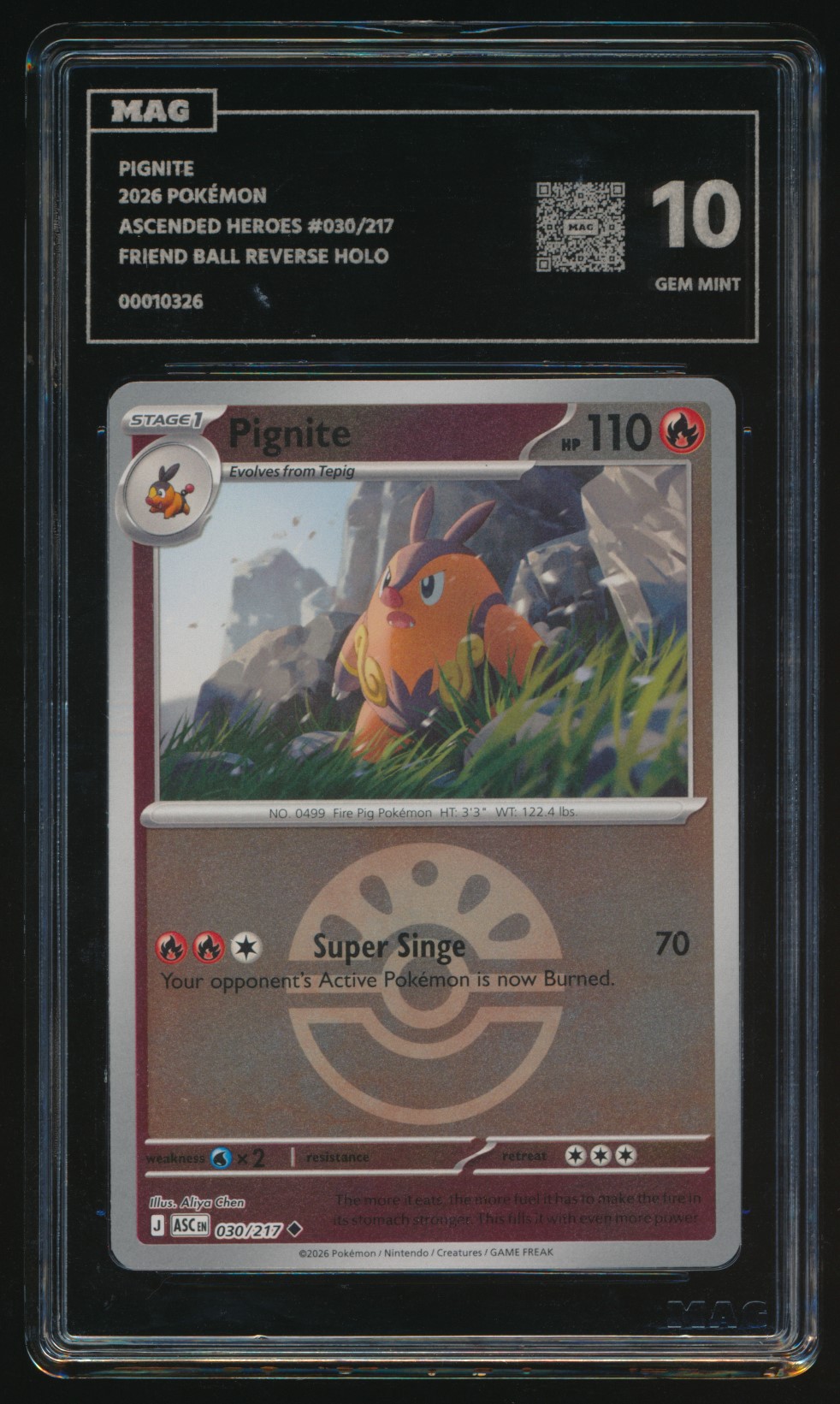 Pignite (MAG MAG-00010326) — front