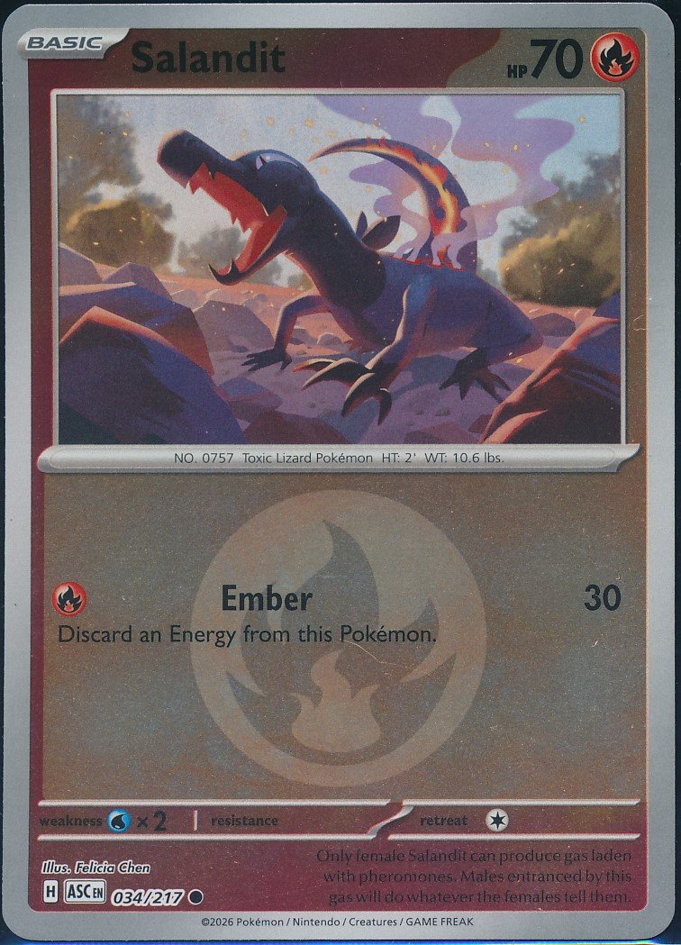 Salandit (MAG MAG-00010319) — front