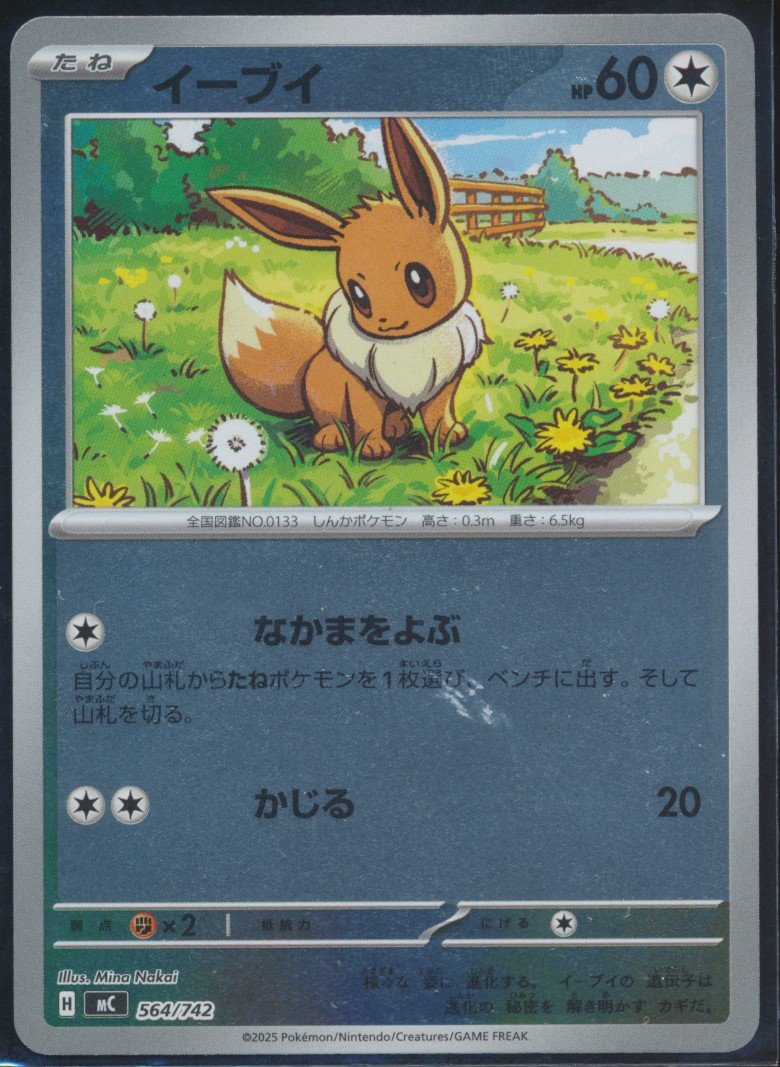 Eevee (MAG MAG-00010284) — front