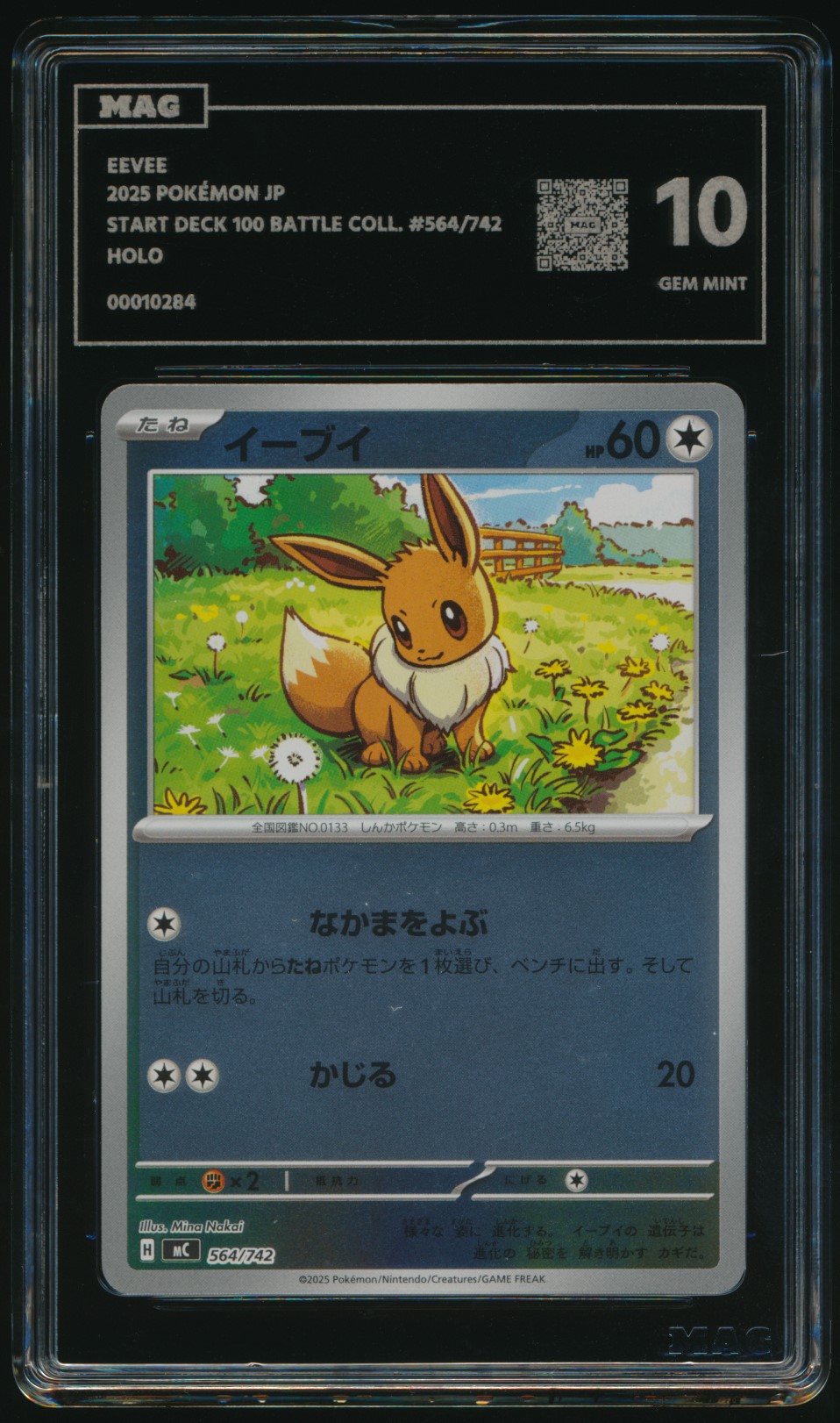 Eevee (MAG MAG-00010284) — front