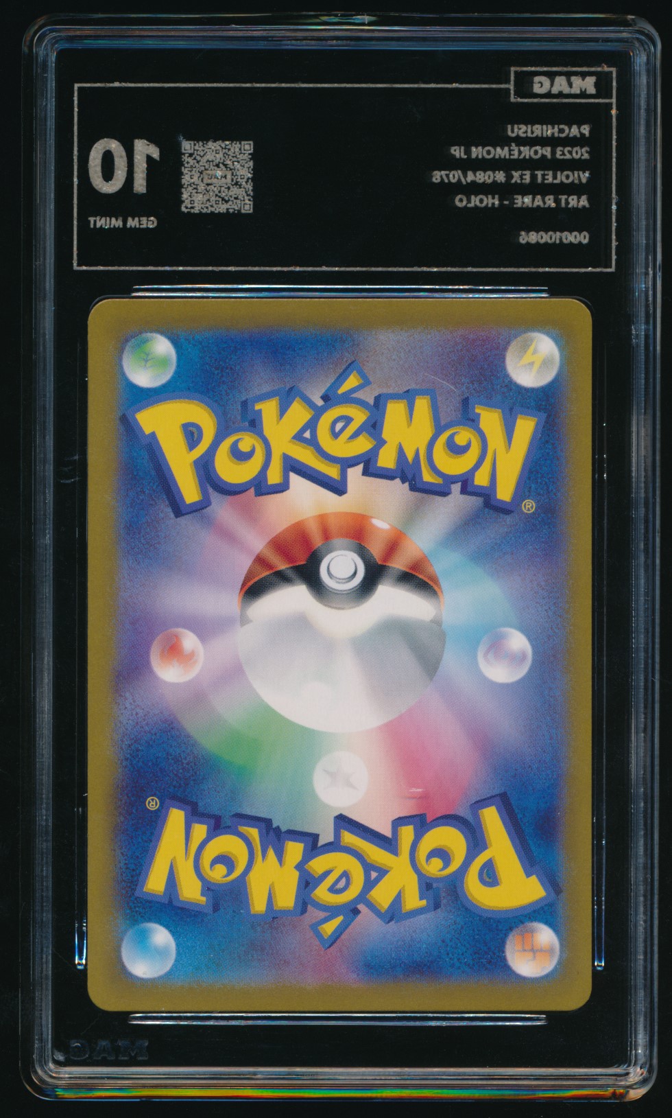 Pachirisu (MAG MAG-00010086) — back