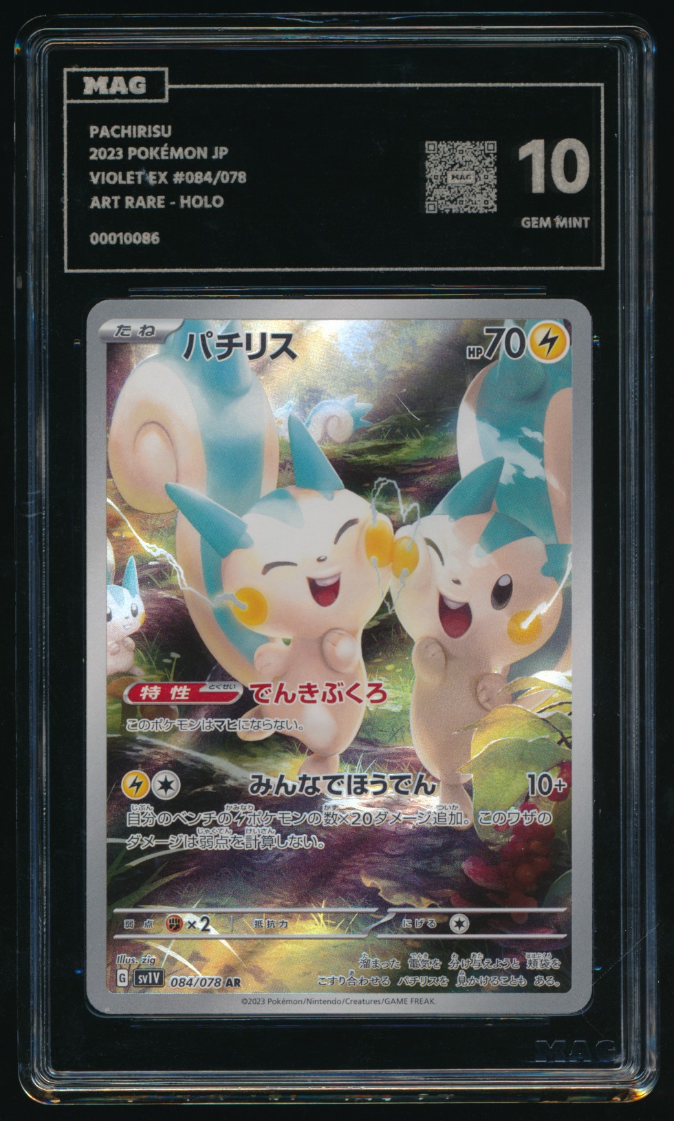 Pachirisu (MAG MAG-00010086) — front