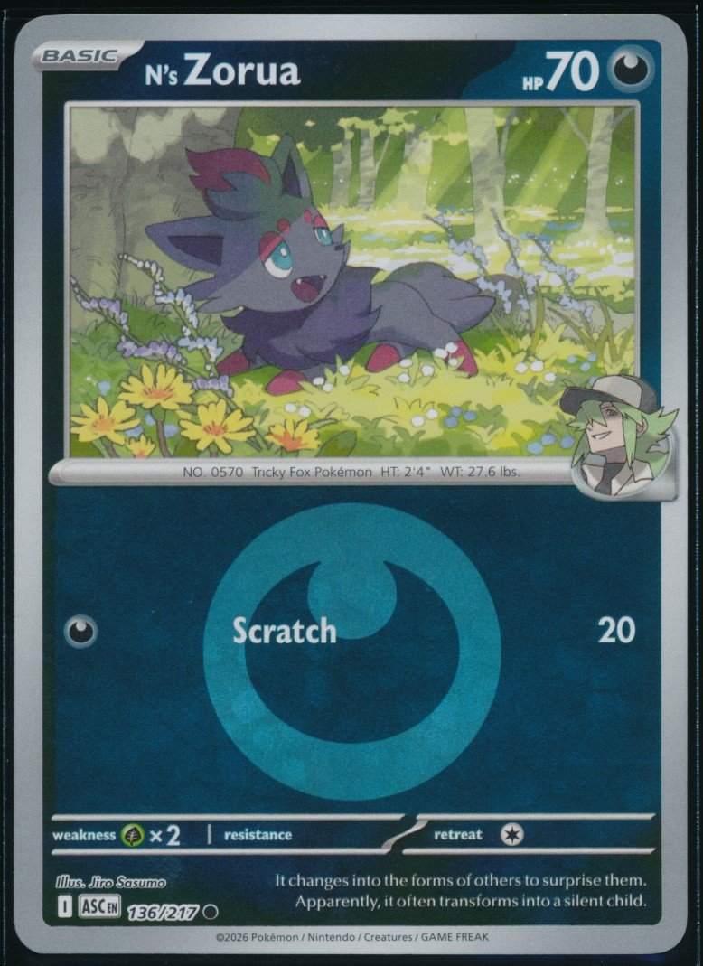 N's Zorua (MAG MAG-00010197) — front