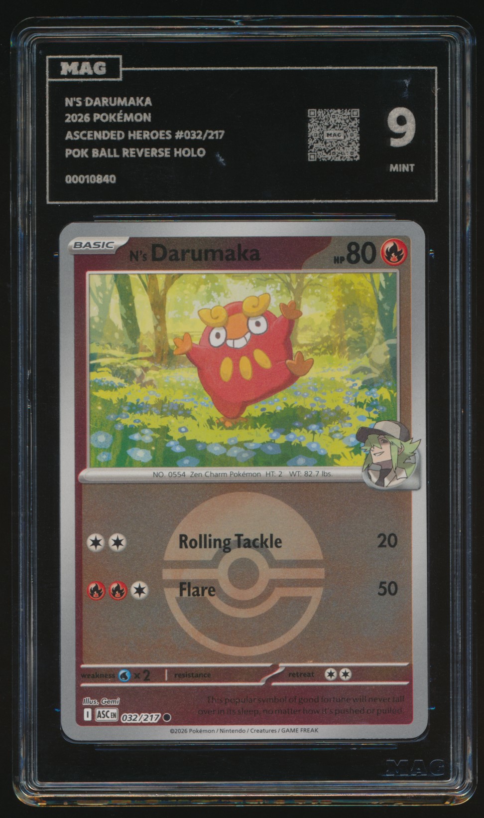 N's Darumaka (MAG MAG-00010840) — front