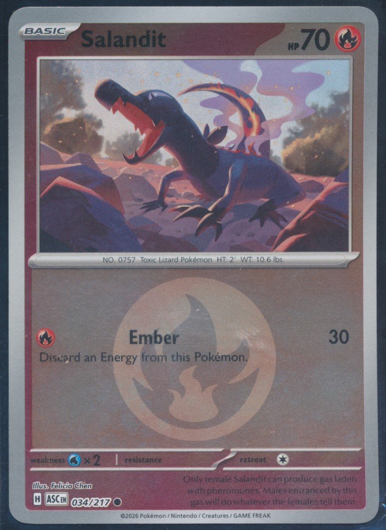 Salandit (MAG MAG-00010837) — front