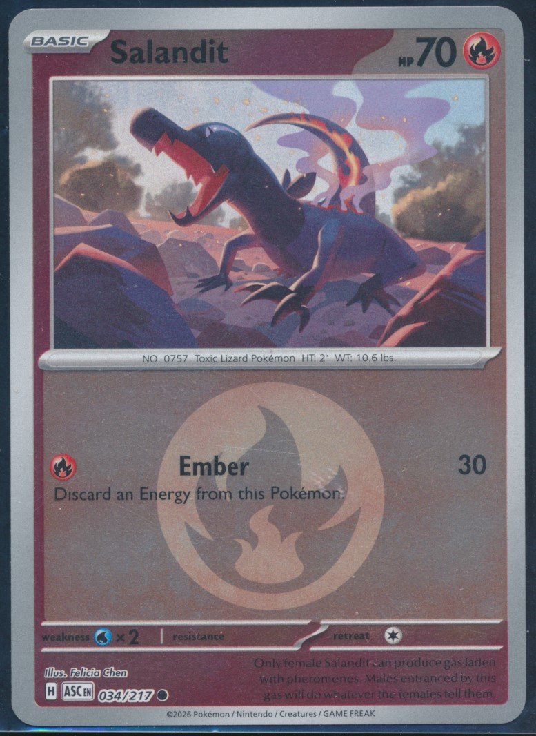 Salandit (MAG MAG-00010836) — front