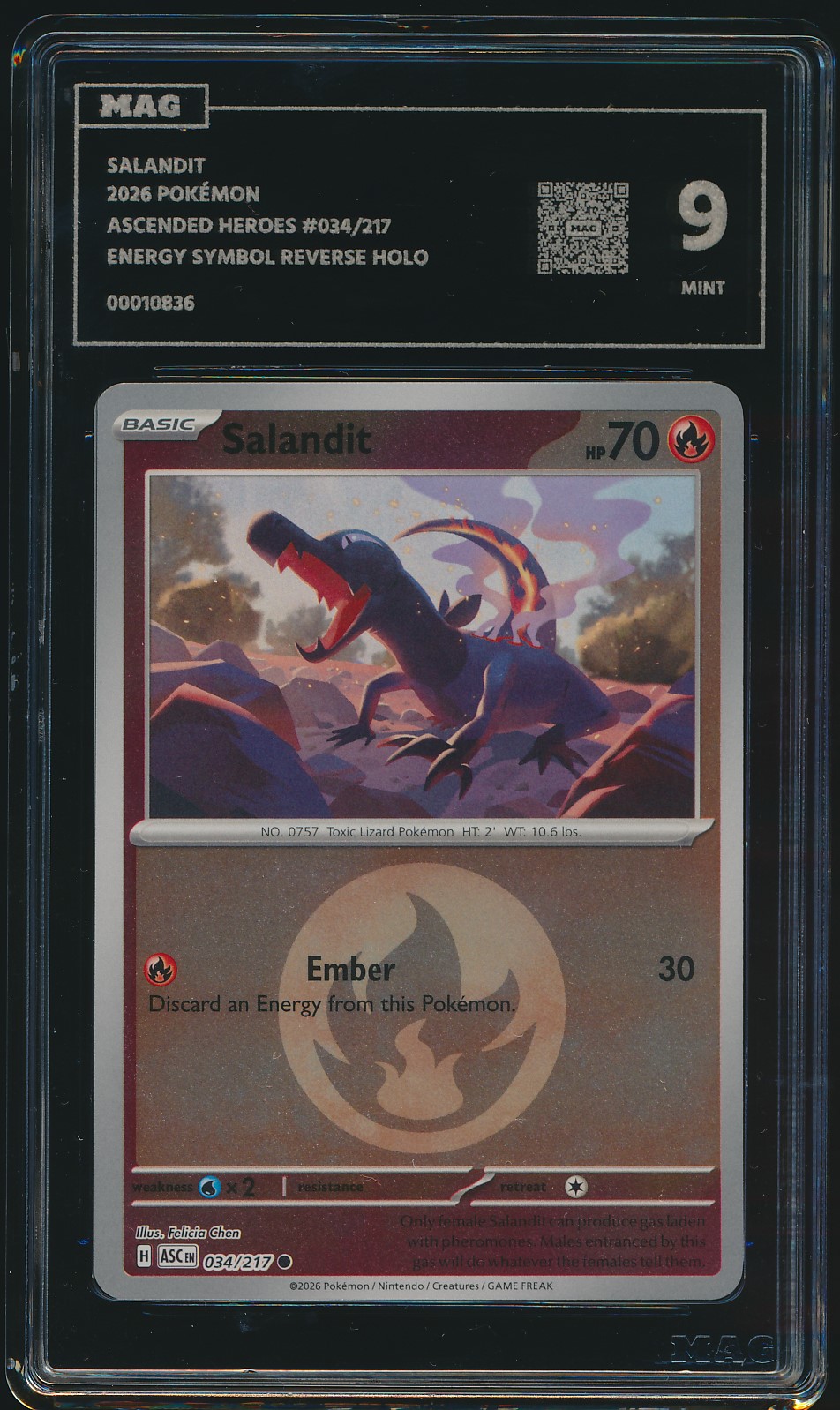 Salandit (MAG MAG-00010836) — front