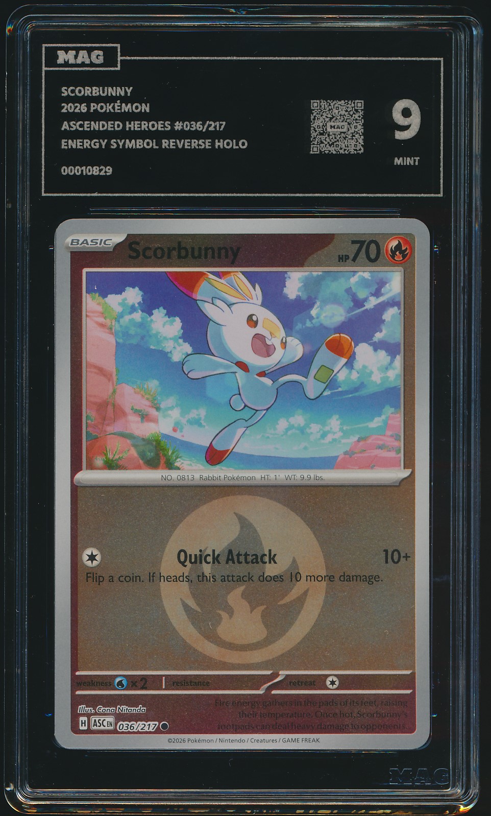 Scorbunny (MAG MAG-00010829) — front