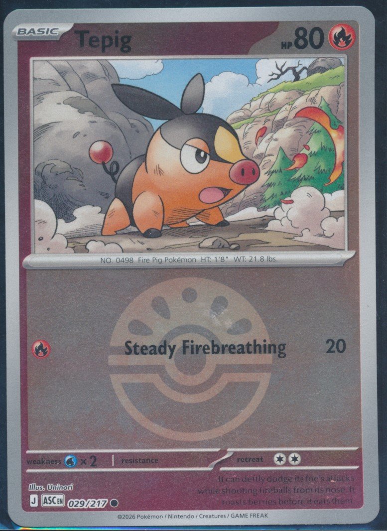 Tepig (MAG MAG-00010828) — front