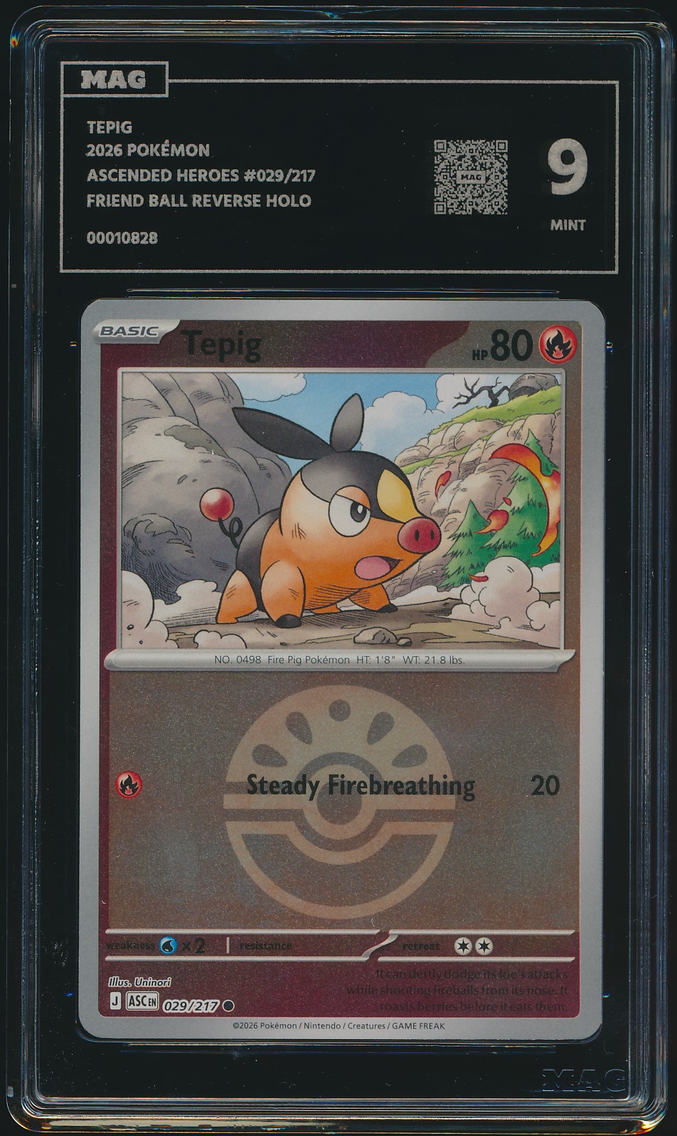 Tepig (MAG MAG-00010828) — front