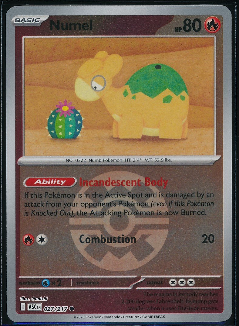Numel (MAG MAG-00010287) — front