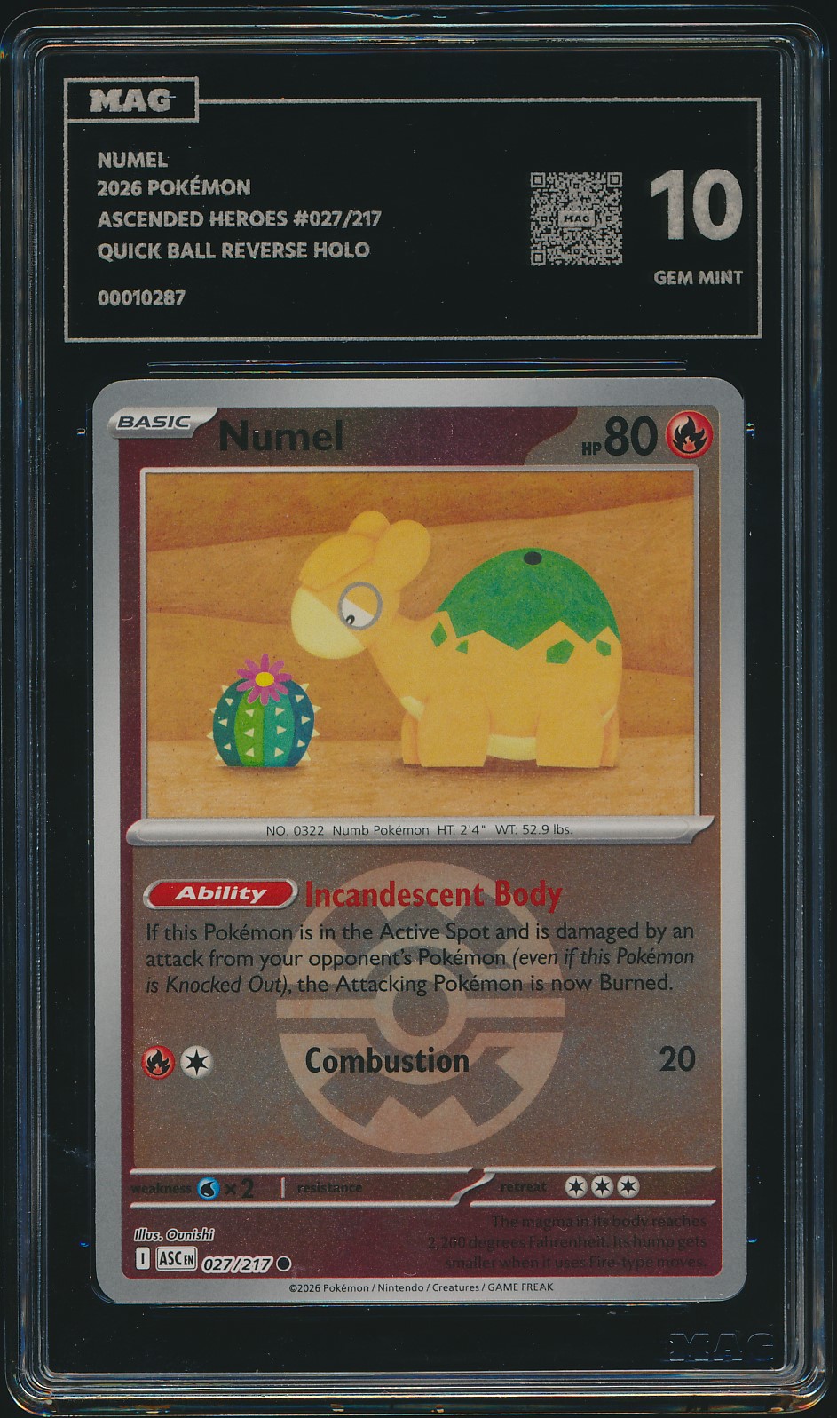 Numel (MAG MAG-00010287) — front
