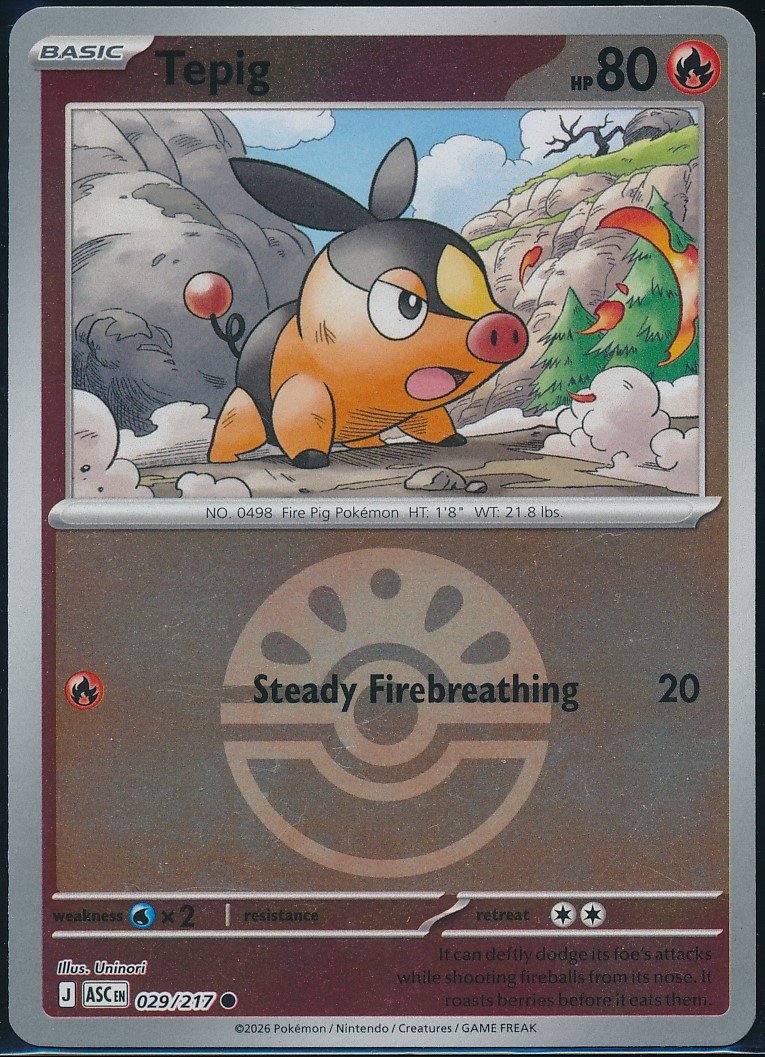 Tepig (MAG MAG-00010294) — front
