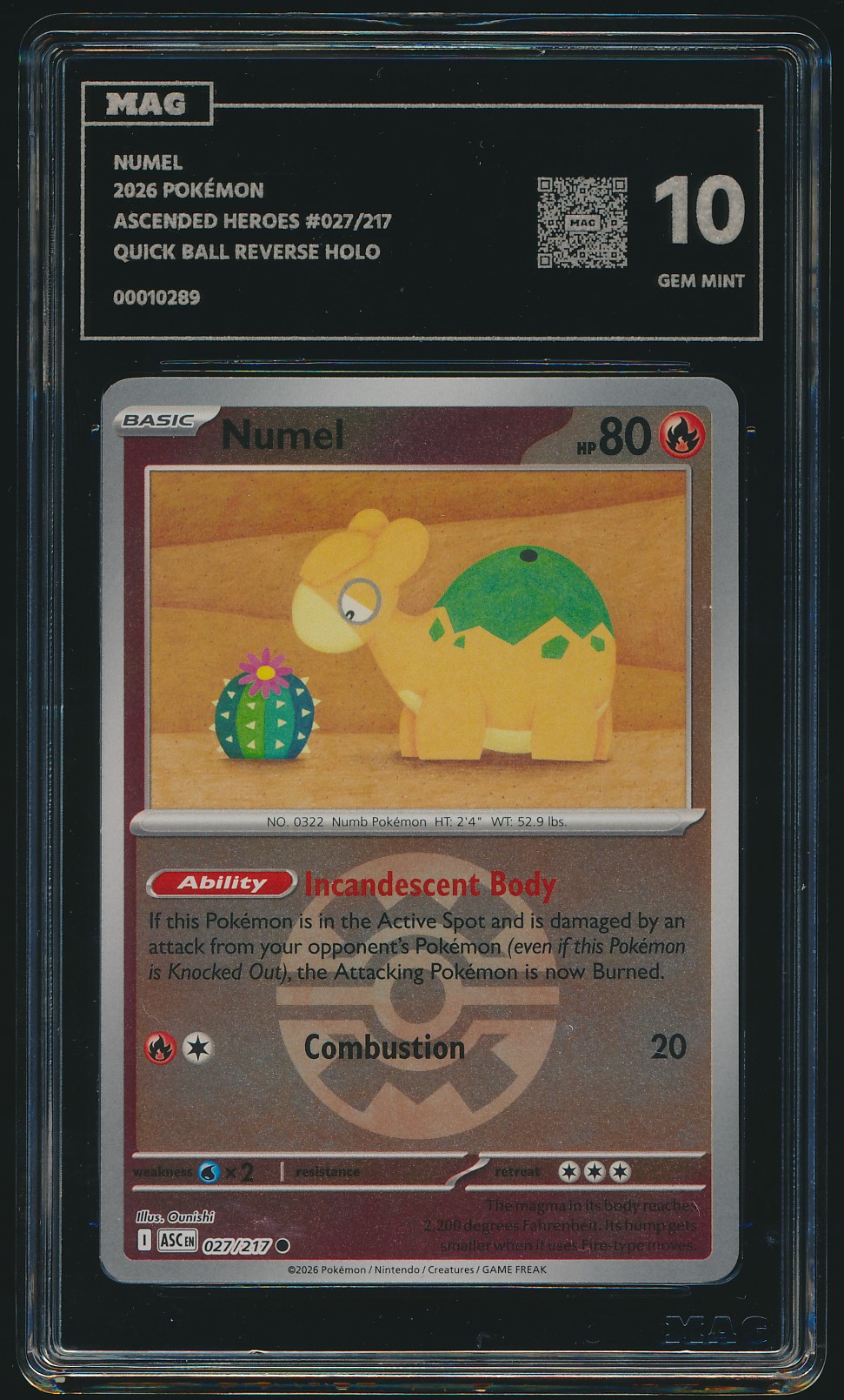 Numel (MAG MAG-00010289) — front