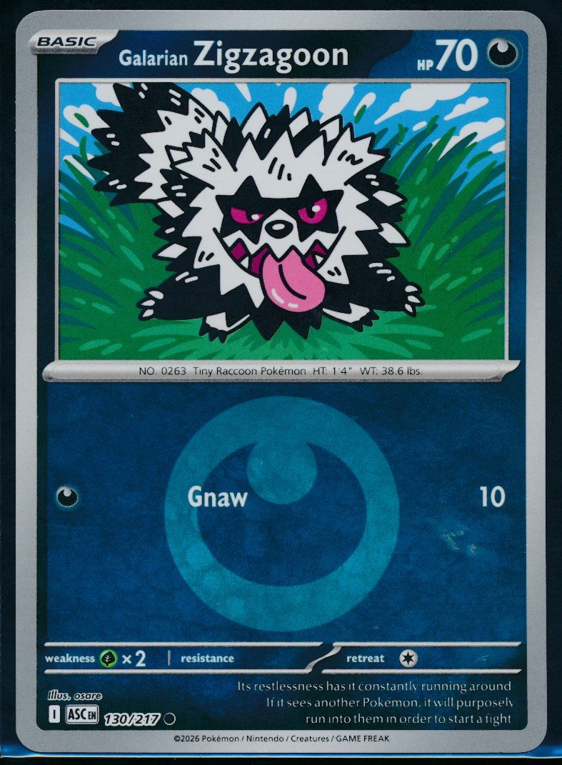 Galarian Zigzagoon (MAG MAG-00010566) — front
