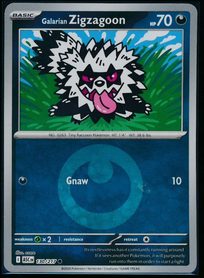Galarian Zigzagoon (MAG MAG-00010567) — front