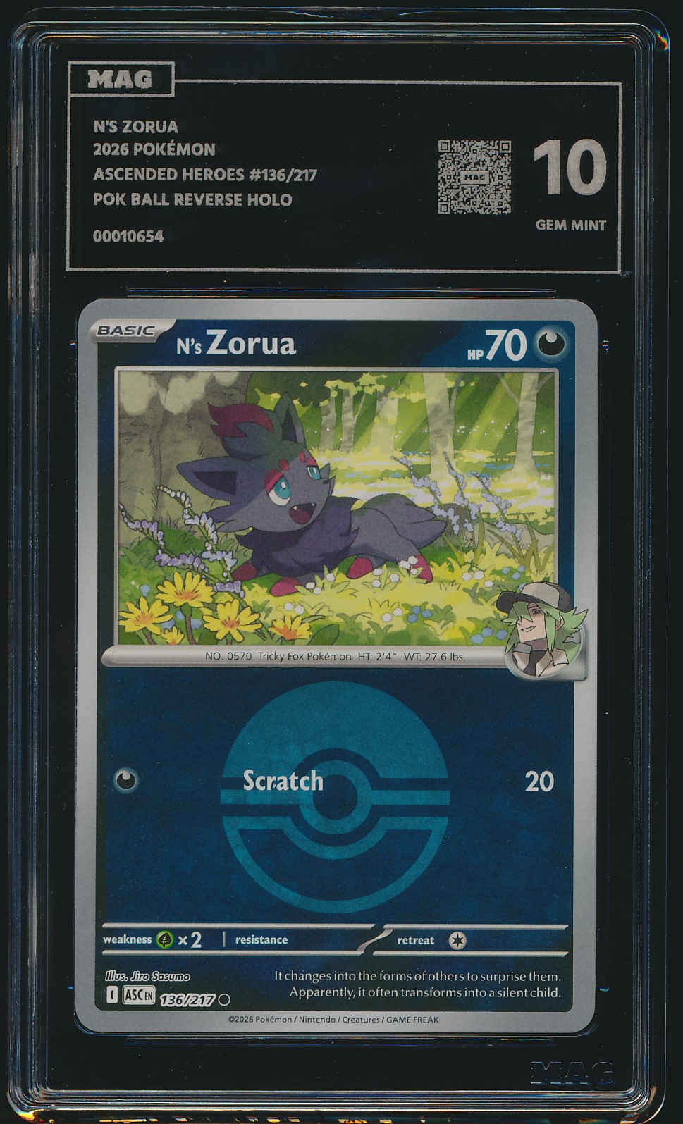 N's Zorua (MAG MAG-00010654) — front