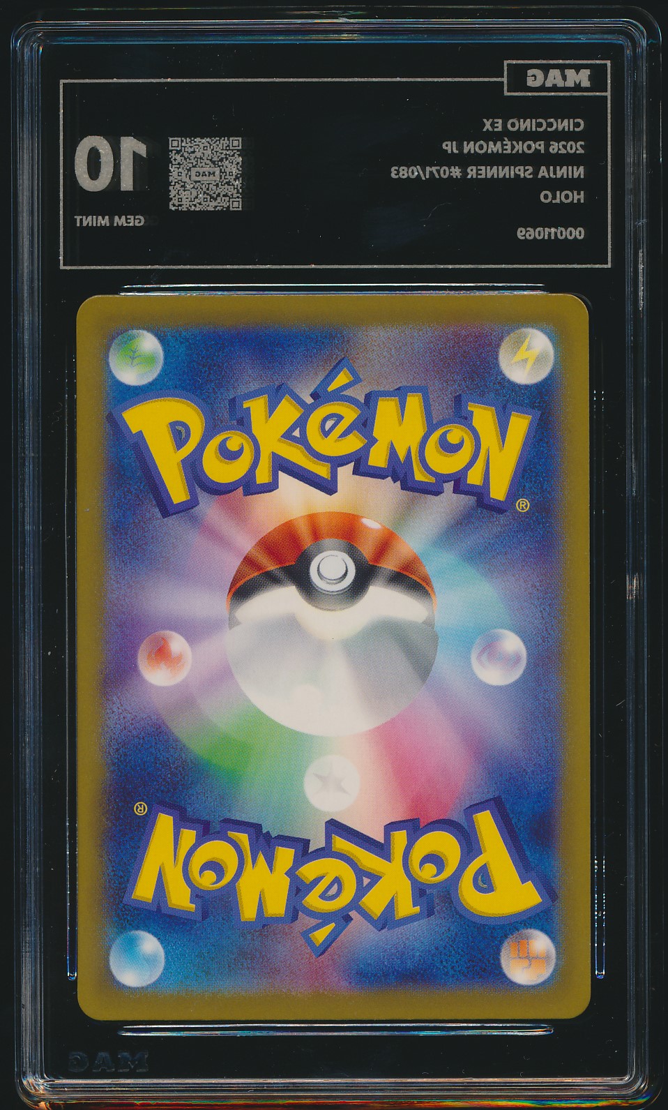 Cinccino ex (MAG MAG-00011069) — back