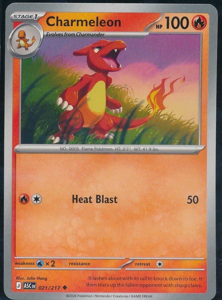 Charmeleon — Front