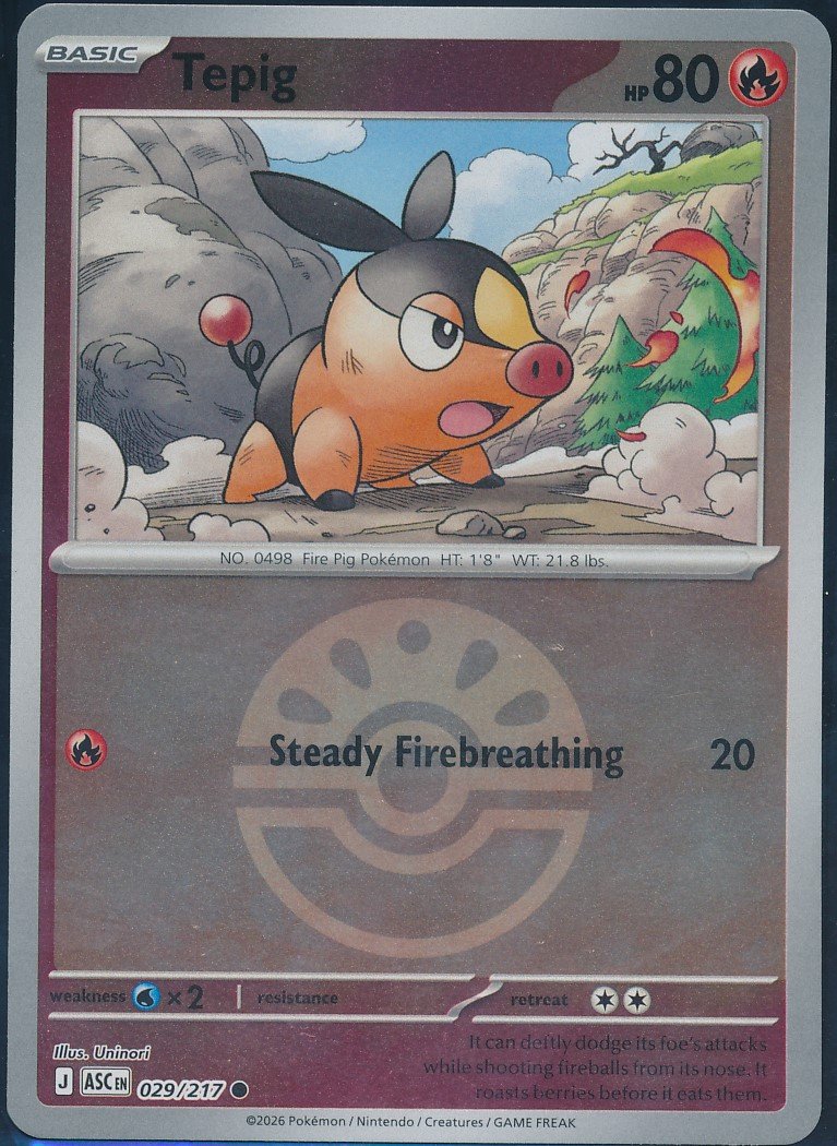 Tepig — Front