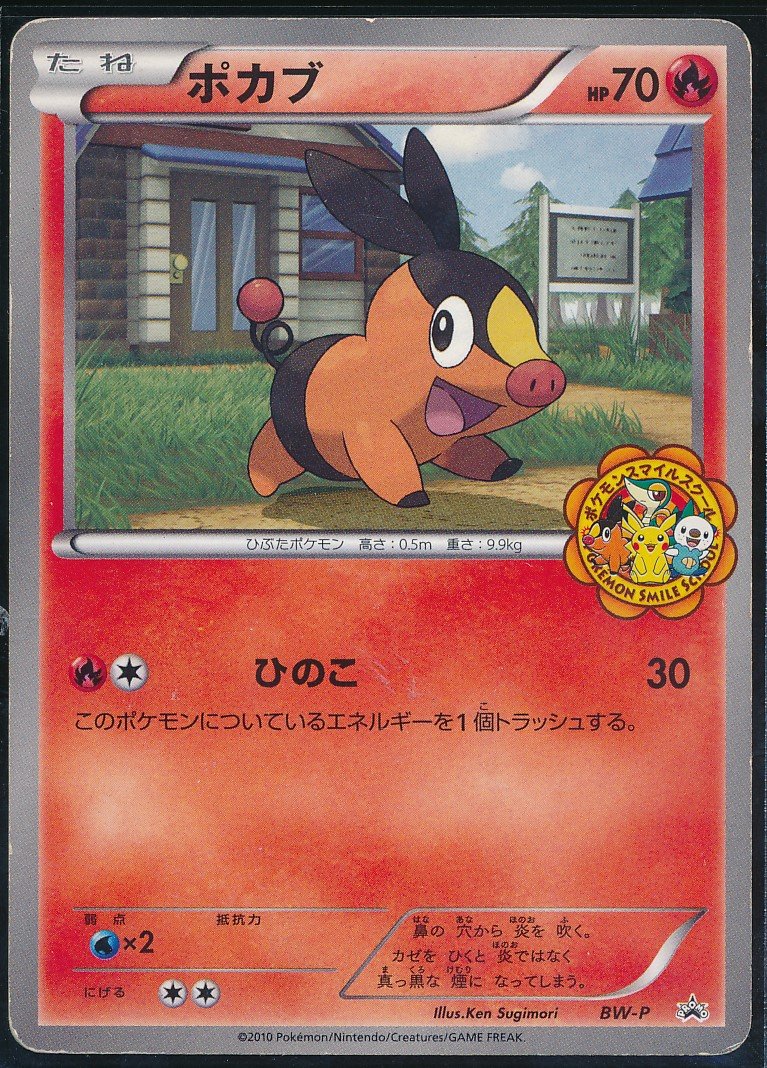 Tepig (MAG MAG-00010146) — front
