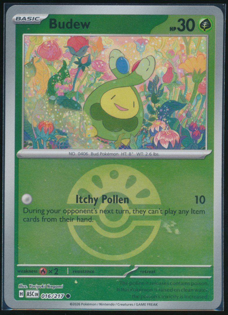 Budew (MAG MAG-00011136) — front