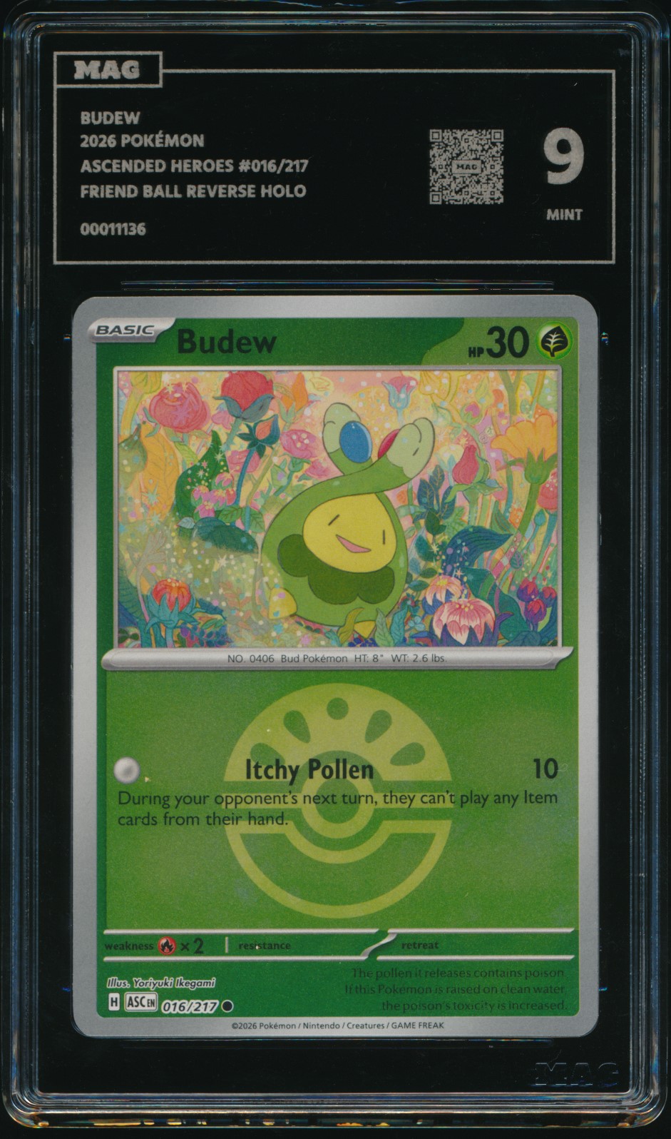 Budew (MAG MAG-00011136) — front