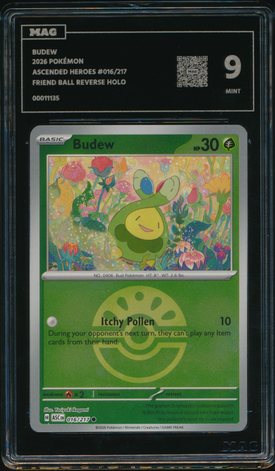 Budew (MAG MAG-00011135) — front