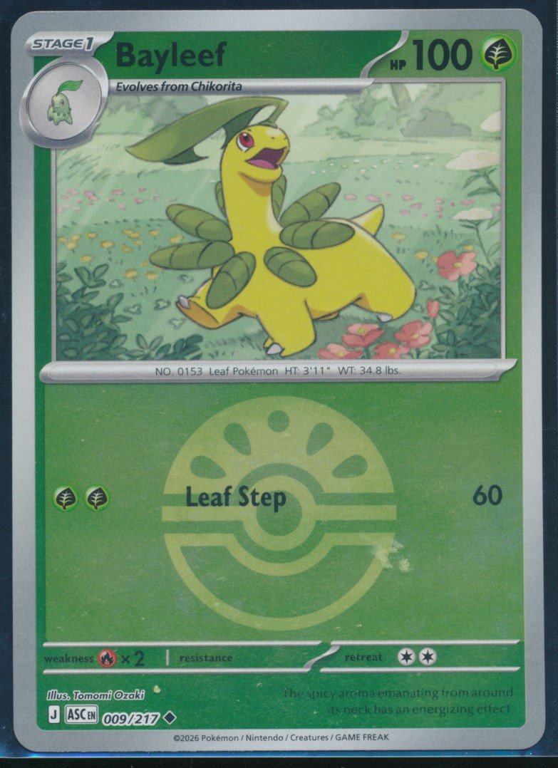 Bayleef (MAG MAG-00011133) — front