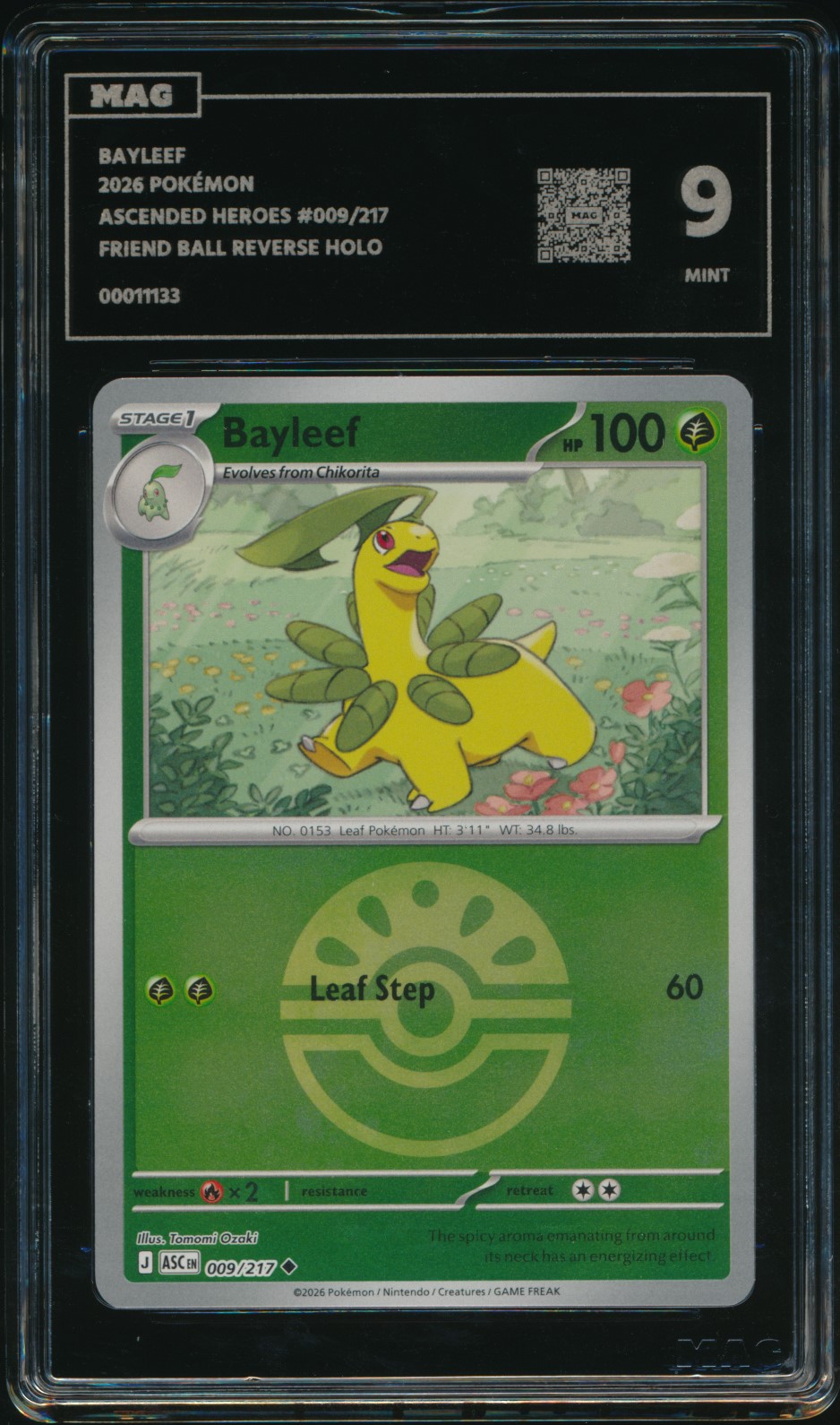 Bayleef (MAG MAG-00011133) — front