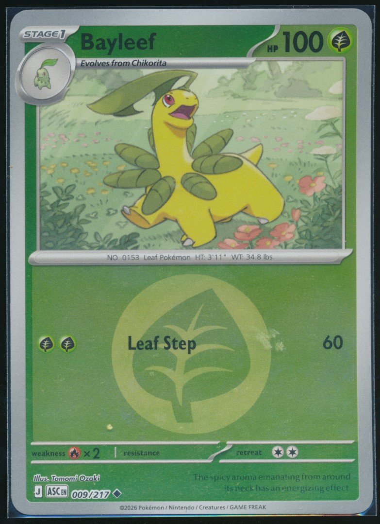 Bayleef (MAG MAG-00011130) — front