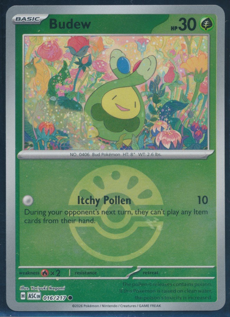 Budew (MAG MAG-00011134) — front