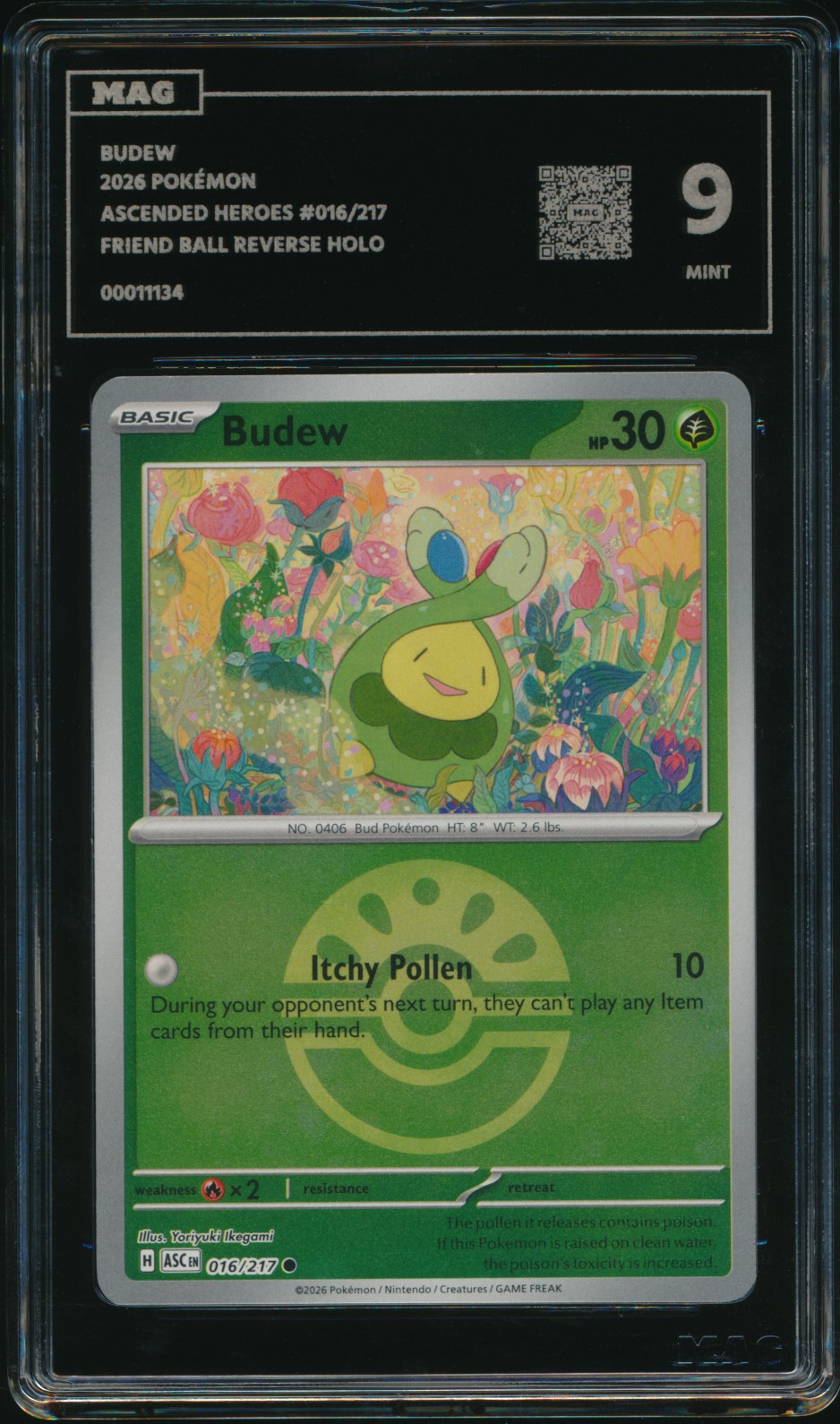 Budew (MAG MAG-00011134) — front