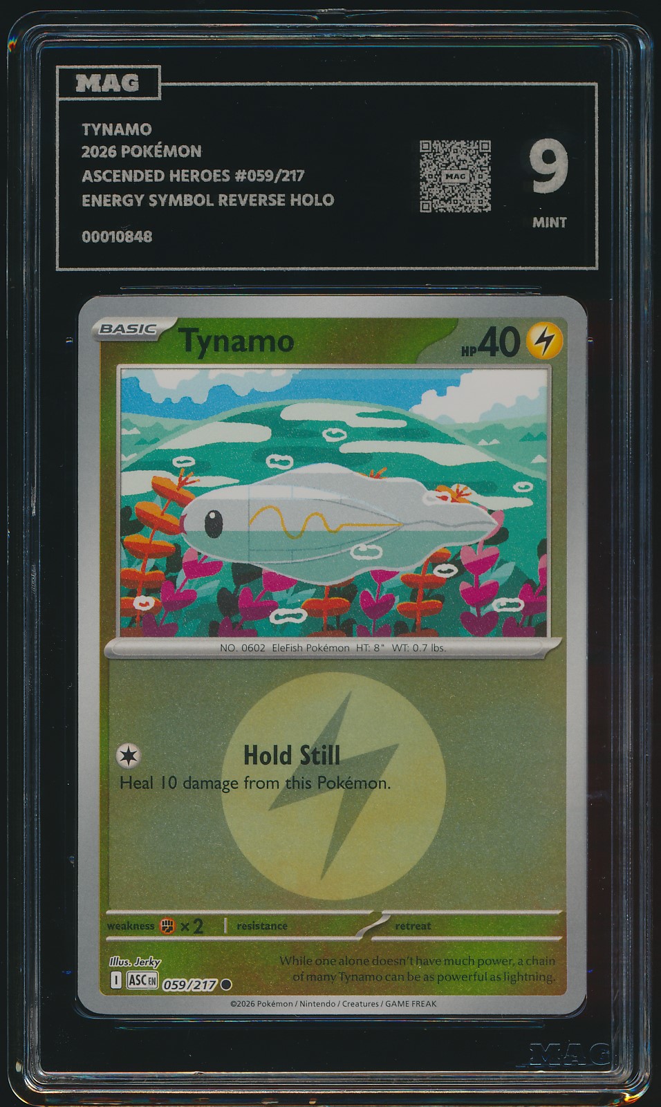 Tynamo (MAG MAG-00010848) — front