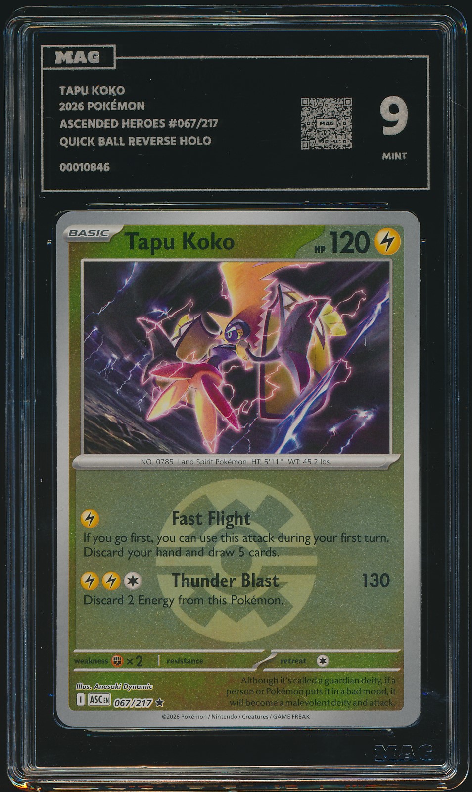 Tapu Koko (MAG MAG-00010846) — front